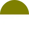 White & Olive Green